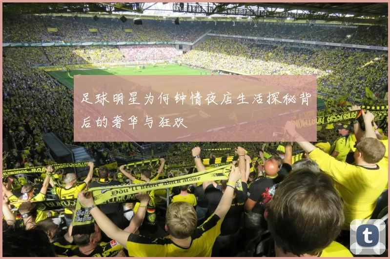 足球明星为何钟情夜店生活探秘背后的奢华与狂欢