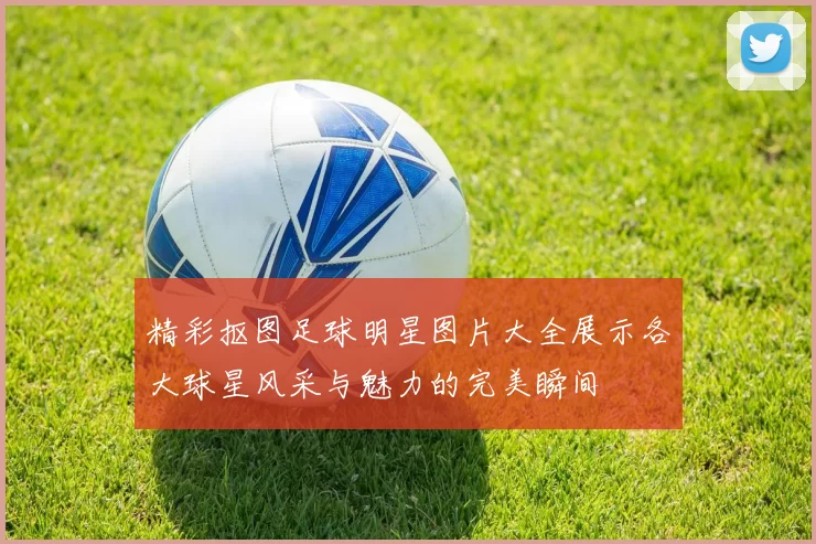 精彩抠图足球明星图片大全展示各大球星风采与魅力的完美瞬间