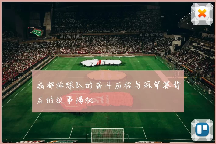 成都排球队的奋斗历程与冠军赛背后的故事揭秘
