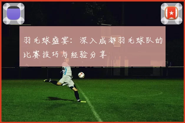 羽毛球盛宴：深入成都羽毛球队的比赛技巧与经验分享