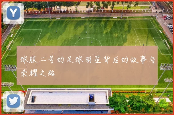 球服二号的足球明星背后的故事与荣耀之路
