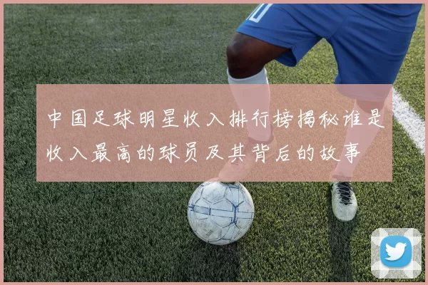 中国足球明星收入排行榜揭秘谁是收入最高的球员及其背后的故事
