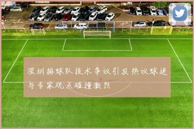 深圳排球队技术争议引发热议球迷与专家观点碰撞激烈