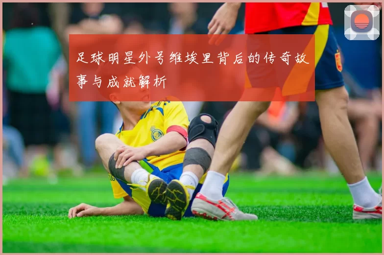 足球明星外号维埃里背后的传奇故事与成就解析