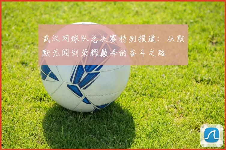 武汉网球队总决赛特别报道：从默默无闻到荣耀巅峰的奋斗之路
