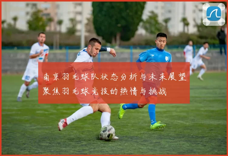 南京羽毛球队状态分析与未来展望聚焦羽毛球竞技的热情与挑战
