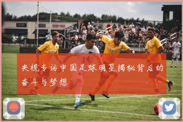 央视专访中国足球明星揭秘背后的奋斗与梦想
