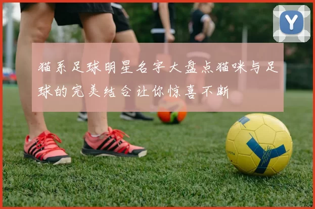 猫系足球明星名字大盘点猫咪与足球的完美结合让你惊喜不断