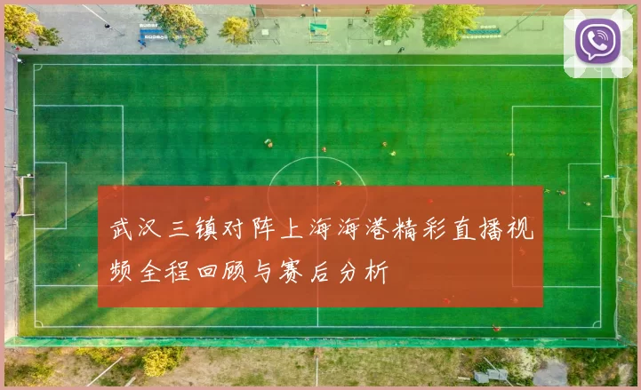 武汉三镇对阵上海海港精彩直播视频全程回顾与赛后分析