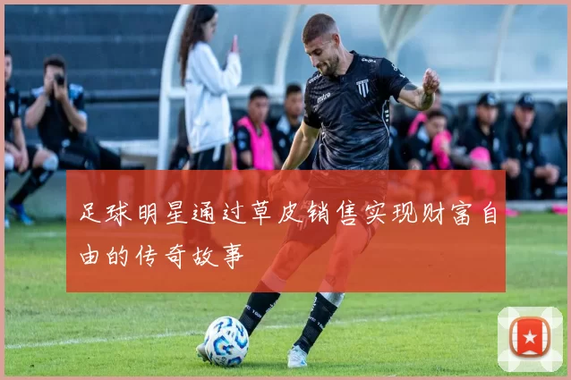 足球明星通过草皮销售实现财富自由的传奇故事