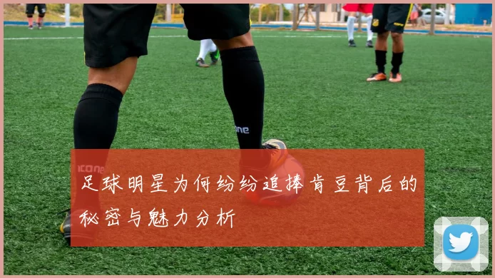 足球明星为何纷纷追捧肯豆背后的秘密与魅力分析
