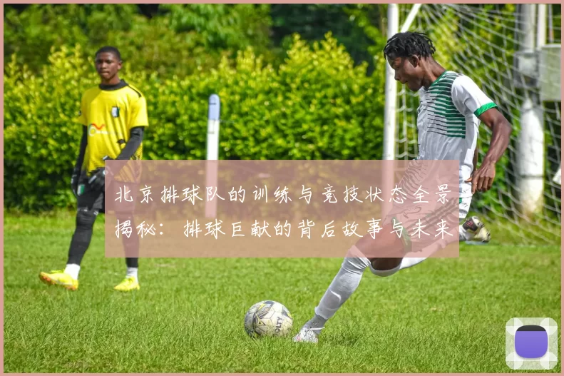 北京排球队的训练与竞技状态全景揭秘：排球巨献的背后故事与未来展望